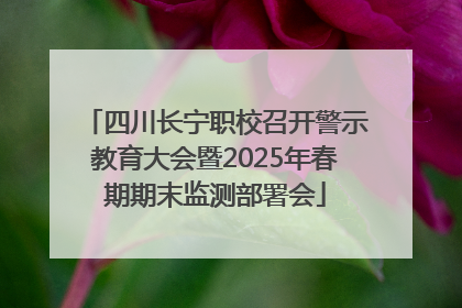 四川长宁职校召开警示教育大会暨2025年春期期末监测部署会