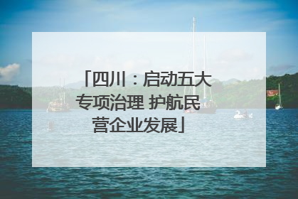 四川：启动五大专项治理 护航民营企业发展