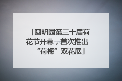 圆明园第三十届荷花节开幕，首次推出“荷梅”双花展