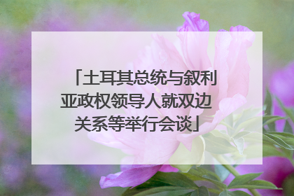 土耳其总统与叙利亚政权领导人就双边关系等举行会谈