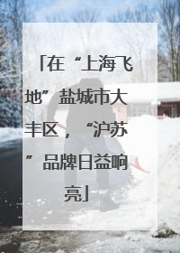 在“上海飞地”盐城市大丰区，“沪苏”品牌日益响亮