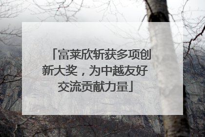 富莱欣斩获多项创新大奖，为中越友好交流贡献力量