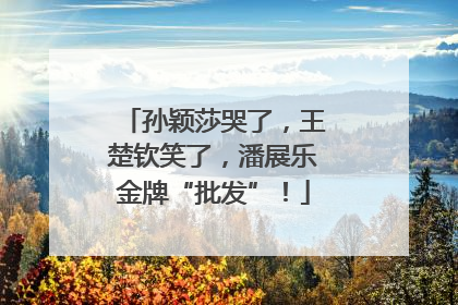 孙颖莎哭了，王楚钦笑了，潘展乐金牌“批发”！