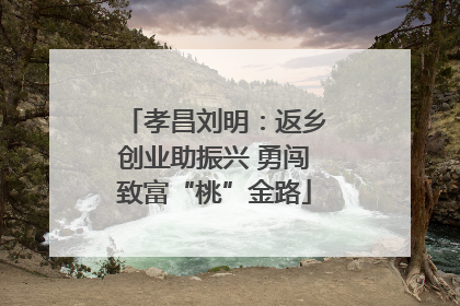 孝昌刘明：返乡创业助振兴 勇闯致富“桃”金路