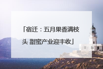 宿迁：五月果香满枝头 甜蜜产业迎丰收