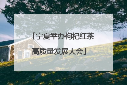 宁夏举办枸杞红茶高质量发展大会