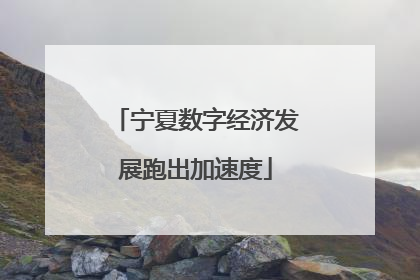 宁夏数字经济发展跑出加速度
