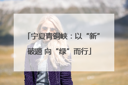 宁夏青铜峡：以“新”破题 向“绿”而行