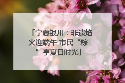 宁夏银川：非遗焰火迎端午 市民“粽”享夏日时光
