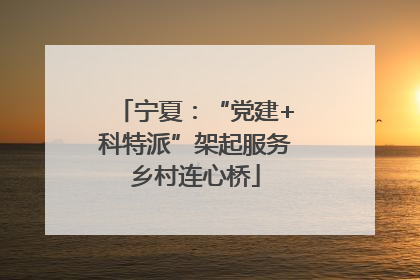 宁夏：“党建+科特派”架起服务乡村连心桥