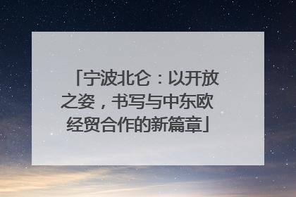 宁波北仑：以开放之姿，书写与中东欧经贸合作的新篇章