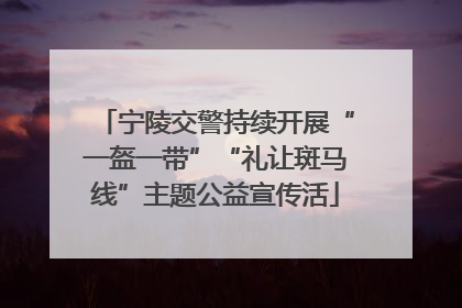 宁陵交警持续开展“一盔一带”“礼让斑马线”主题公益宣传活