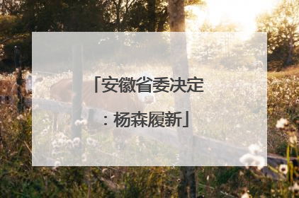 安徽省委决定：杨森履新