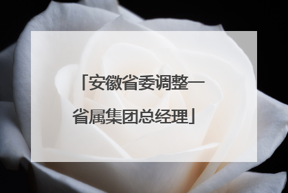 安徽省委调整一省属集团总经理