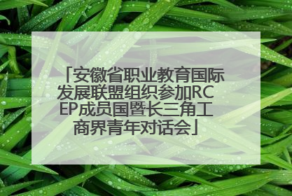 安徽省职业教育国际发展联盟组织参加RCEP成员国暨长三角工商界青年对话会