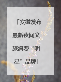 安徽发布最新夜间文旅消费“明星”品牌