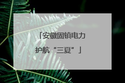 安徽固镇电力护航“三夏”