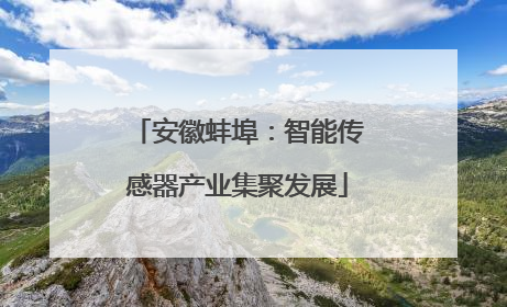 安徽蚌埠：智能传感器产业集聚发展