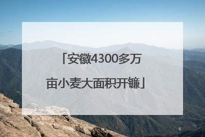 安徽4300多万亩小麦大面积开镰