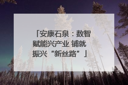 安康石泉：数智赋能兴产业 铺就振兴“新丝路”