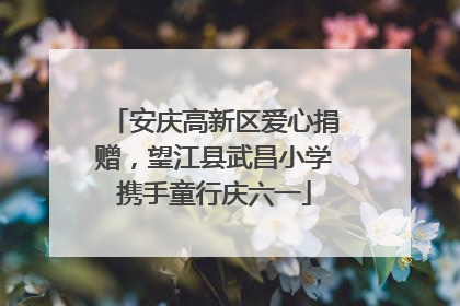 安庆高新区爱心捐赠，望江县武昌小学携手童行庆六一