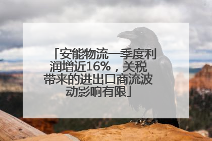 安能物流一季度利润增近16%，关税带来的进出口商流波动影响有限