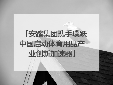 安踏集团携手璞跃中国启动体育用品产业创新加速器