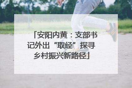 安阳内黄：支部书记外出“取经”探寻乡村振兴新路径