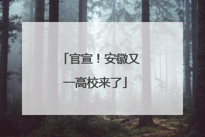 官宣！安徽又一高校来了