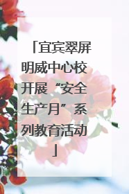 宜宾翠屏明威中心校开展“安全生产月”系列教育活动