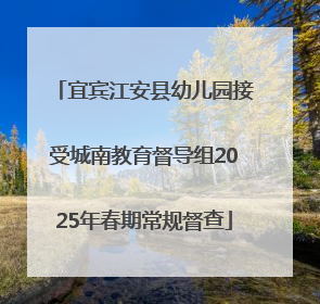 宜宾江安县幼儿园接受城南教育督导组2025年春期常规督查