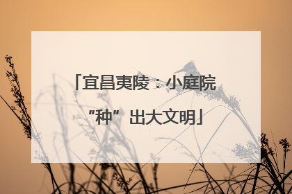 宜昌夷陵：小庭院“种”出大文明