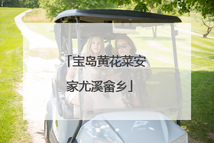 宝岛黄花菜安家尤溪畲乡