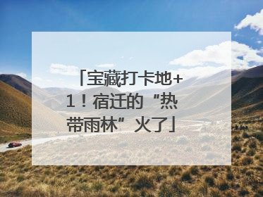 宝藏打卡地+1！宿迁的“热带雨林”火了