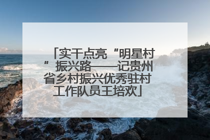 实干点亮“明星村”振兴路——记贵州省乡村振兴优秀驻村工作队员王培欢
