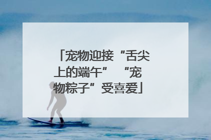 宠物迎接“舌尖上的端午” “宠物粽子”受喜爱
