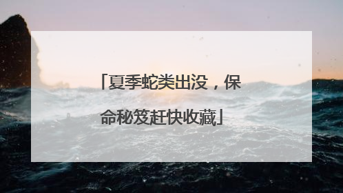 夏季蛇类出没，保命秘笈赶快收藏