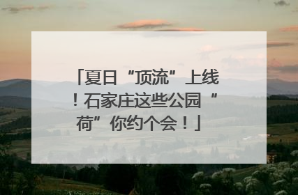 夏日“顶流”上线！石家庄这些公园“荷”你约个会！