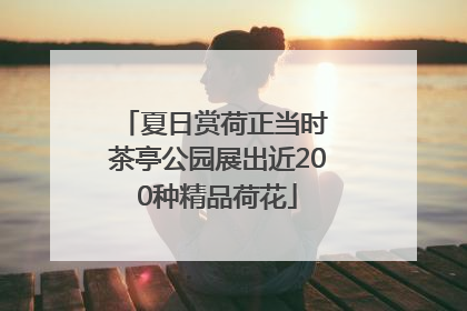 夏日赏荷正当时 茶亭公园展出近200种精品荷花