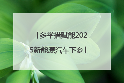 多举措赋能2025新能源汽车下乡