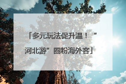 多元玩法促升温！“河北游”圈粉海外客