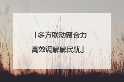 多方联动聚合力 高效调解解民忧
