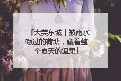 大美东城｜被雨水吻过的荷塘，藏着整个夏天的温柔