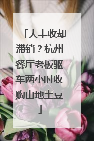 大丰收却滞销？杭州餐厅老板驱车两小时收购山地土豆
