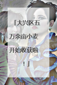 大兴区五万余亩小麦开始收获啦！