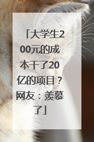 大学生200元的成本干了20亿的项目？网友：羡慕了