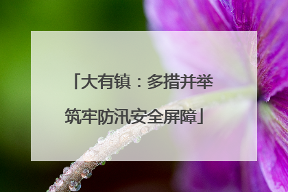 大有镇：多措并举筑牢防汛安全屏障