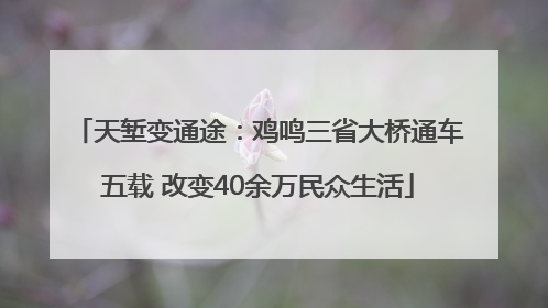 天堑变通途：鸡鸣三省大桥通车五载 改变40余万民众生活
