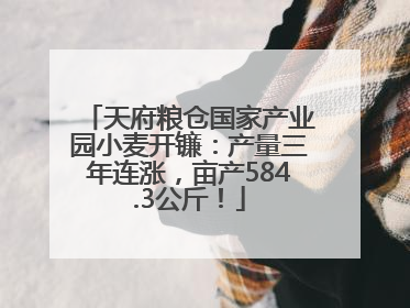 天府粮仓国家产业园小麦开镰：产量三年连涨，亩产584.3公斤！