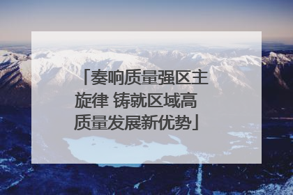 奏响质量强区主旋律 铸就区域高质量发展新优势
